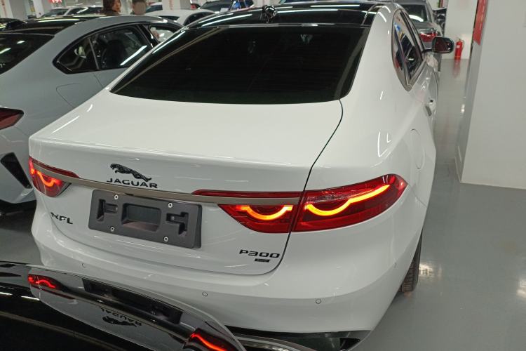 Used Jaguar XFL 2024 2.0T P300 Four-Wheel Drive Flagship Sport Gold Edition Rear