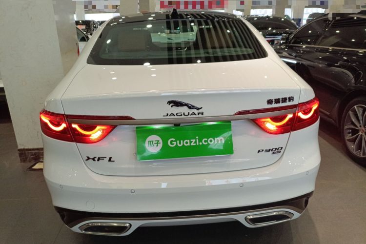 Used Jaguar XFL 2024 2.0T P300 Four-Wheel Drive Flagship Sport Gold Edition Rear