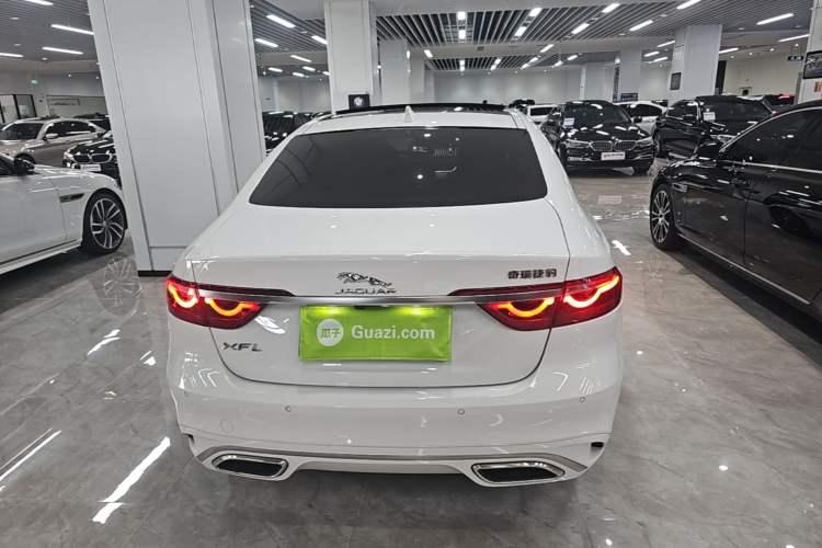 Used Jaguar XFL 2024 2.0T P250 Two-Wheel Drive Prestige Luxury Edition Rear