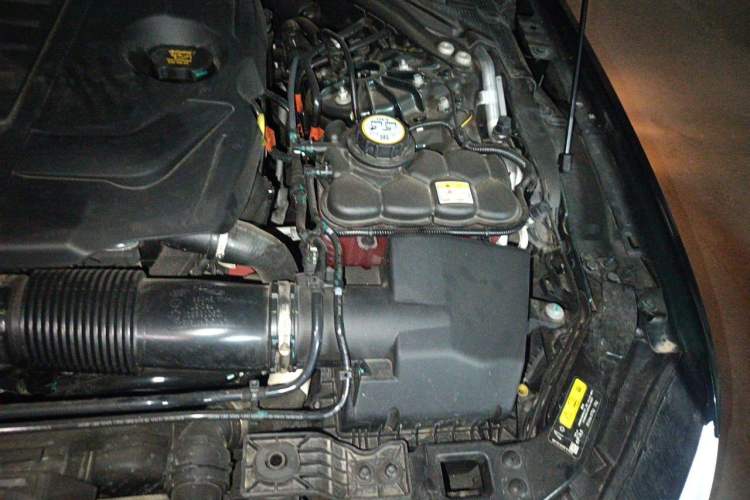 Used Jaguar XFL 2025 Model—2.0T P250, Two-Wheel Drive, Premium Luxury Edition Engine Bay Left