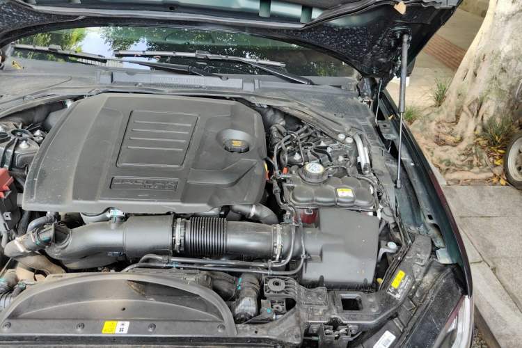 Used Jaguar XFL 2025 Model—2.0T P250, Two-Wheel Drive, Premium Luxury Edition Engine Bay Left