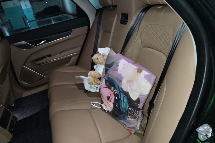 Used Jaguar XFL 2025 Model—2.0T P250, Two-Wheel Drive, Premium Luxury Edition Left Rear Seat