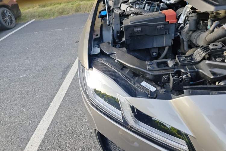 Used Jaguar XFL 2025 Model—2.0T P250, Two-Wheel Drive, Premium Luxury Edition Right Front Headlight