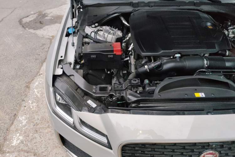 Used Jaguar XFL 2025 Model—2.0T P250, Two-Wheel Drive, Premium Luxury Edition Engine Bay Right