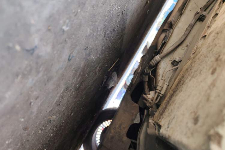 Used Jaguar XJ 2011 XJL 3.0 Panoramic Business Edition Chassis Front Right