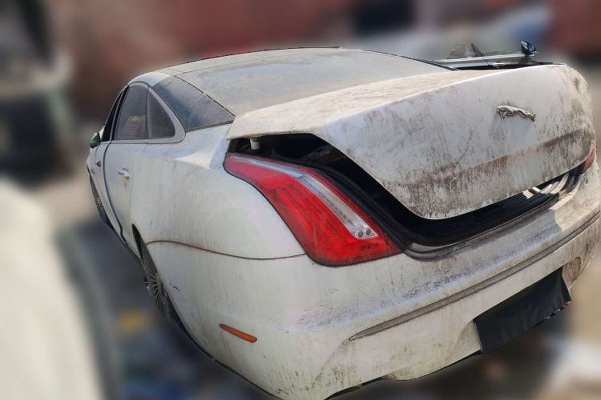 Used Jaguar XJ 2011 XJL 3.0 Panoramic Business Edition Rear Left 45 Deg