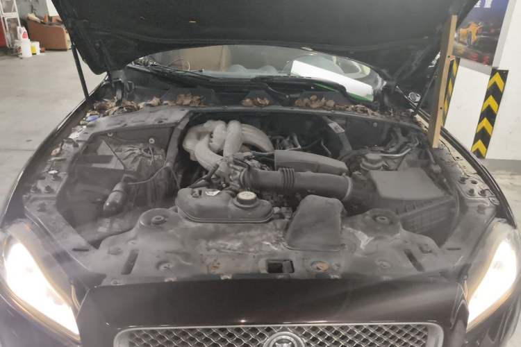Used Jaguar XJ 2012 XJL 3.0 Flagship Business Edition Engine Bay