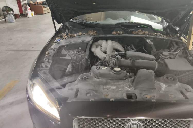 Used Jaguar XJ 2012 XJL 3.0 Flagship Business Edition Engine Bay Right