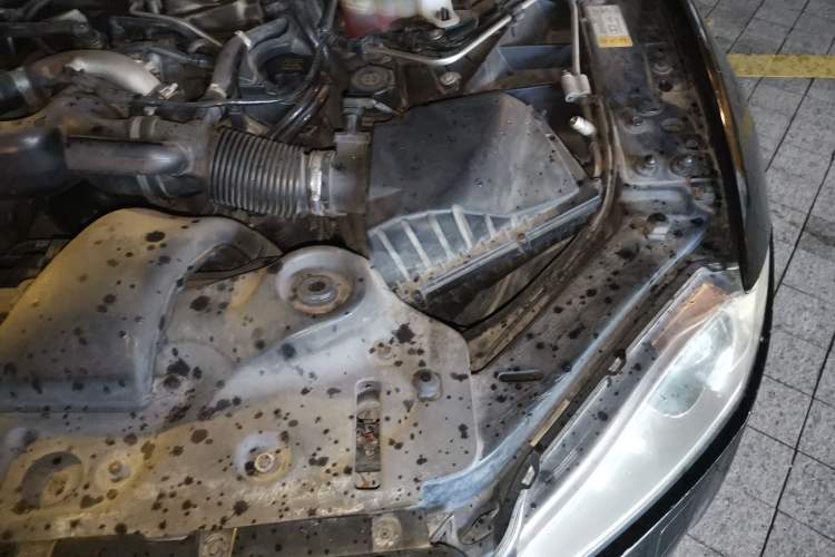 Used Jaguar XJ 2013 XJL 3.0 SC Four-Wheel Drive Flagship Business Edition Engine Bay Left