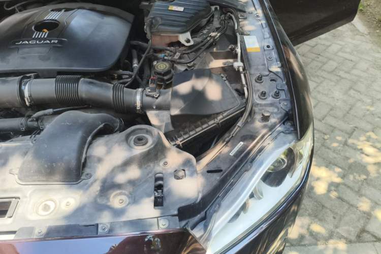 Used Jaguar XJ 2014 XJL 2.0T Two-Wheel-Drive Elegant Business Edition Engine Bay Left