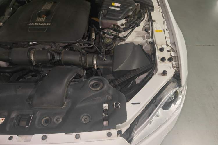Used Jaguar XJ 2014 XJL 2.0T Two-Wheel-Drive Elegant Business Edition Engine Bay Left