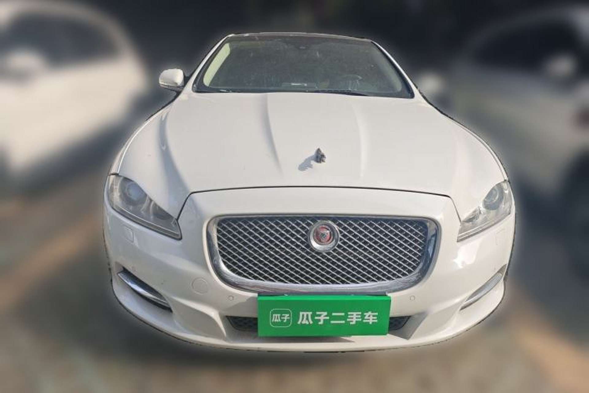 Used Jaguar XJ 2014 XJL 3.0 SC Two-Wheel-Drive Flagship Business Edition Front