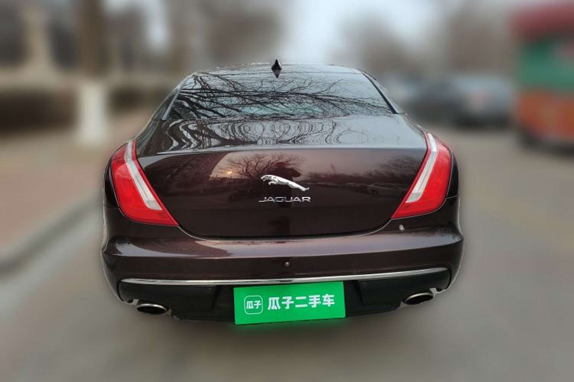 Used Jaguar XJ 2016 XJL 2.0T Two-Wheel-Drive Elegant Business Edition Rear