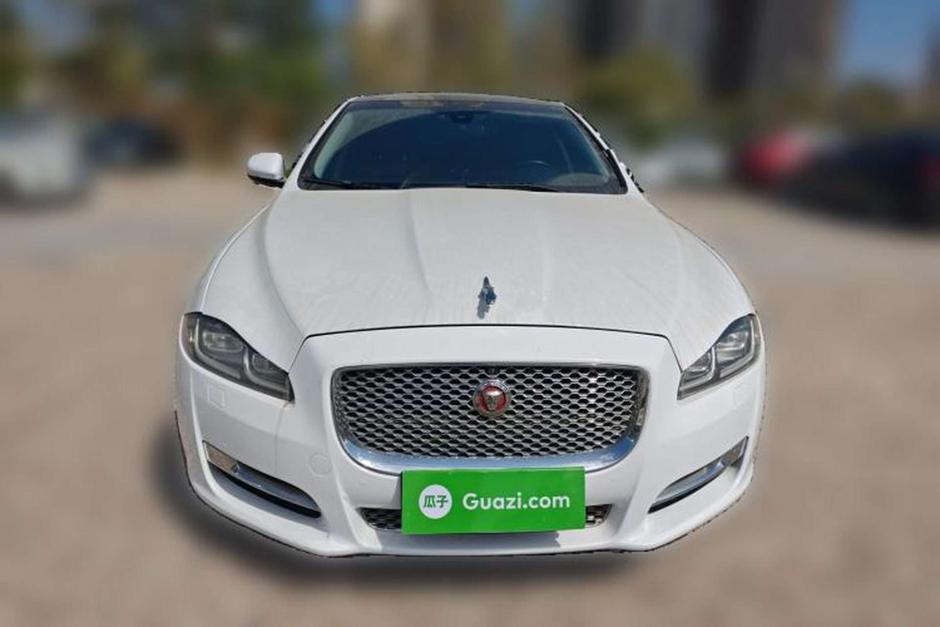 Used Jaguar XJ 2016 XJL 2.0T Two-Wheel-Drive Elegant Business Edition Front