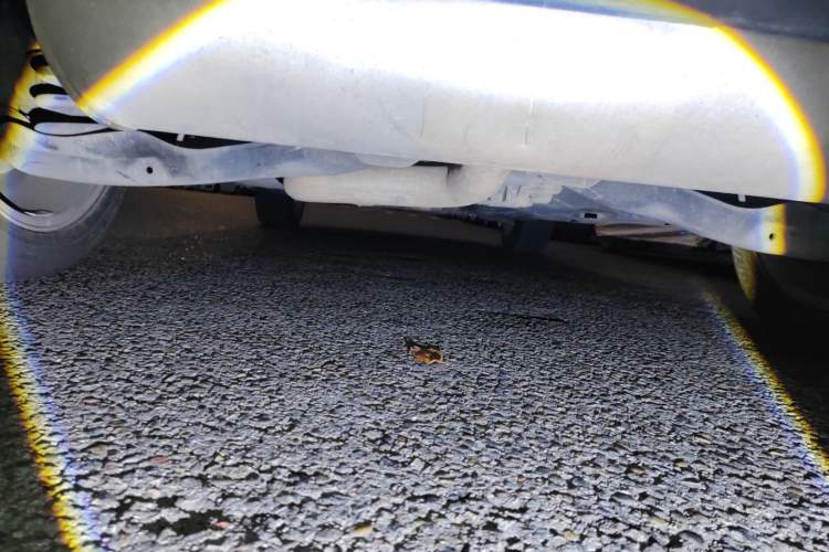 Used Jeep Cherokee 2014 2.4L Luxury Edition Chassis Rear