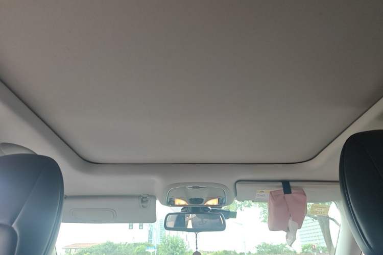 Used Jeep Cherokee 2016 2.4L Professional Edition Headliner