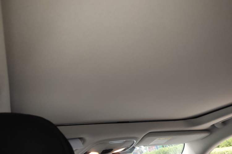 Used Jeep Cherokee 2016 2.4L Professional Edition Headliner