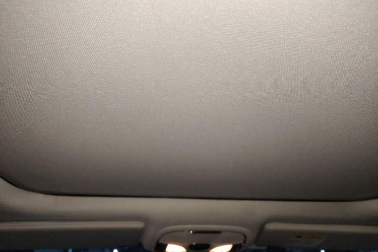 Used Jeep Cherokee 2016 2.4L Professional Edition Headliner
