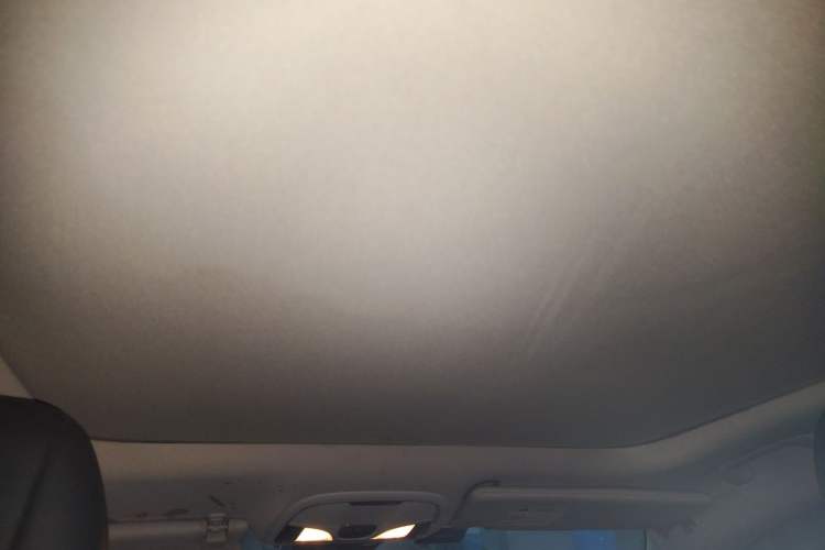 Used Jeep Cherokee 2016 2.4L Leading Edition Headliner