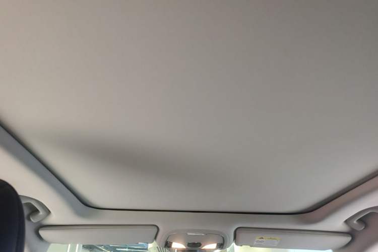Used Jeep Cherokee 2016 2.4L Professional Smart Version Headliner