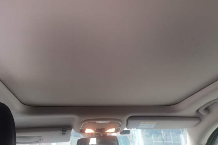 Used Jeep Cherokee 2016 2.4L Professional Smart Version Headliner