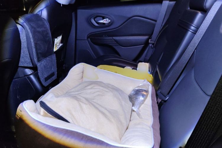 Used Jeep Cherokee 2016 2.4L Professional Smart Version Left Rear Seat