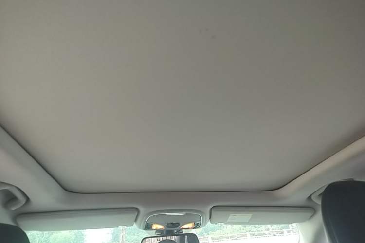 Used Jeep Cherokee 2016 2.4L Professional Smart Version Headliner