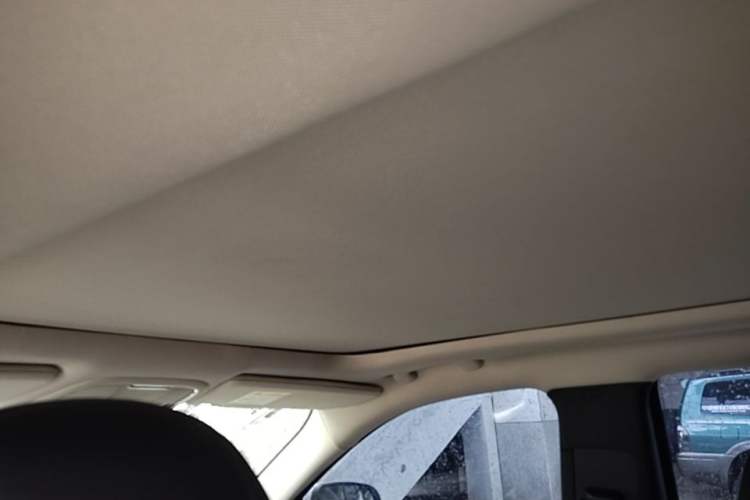 Used Jeep Cherokee 2016 2.4L Professional Smart Version Headliner