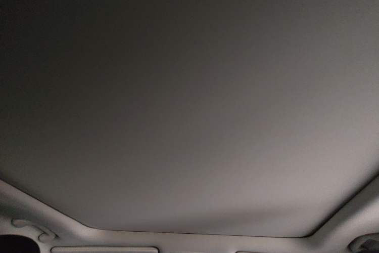Used Jeep Cherokee 2016 2.4L All-in-One Edition Headliner