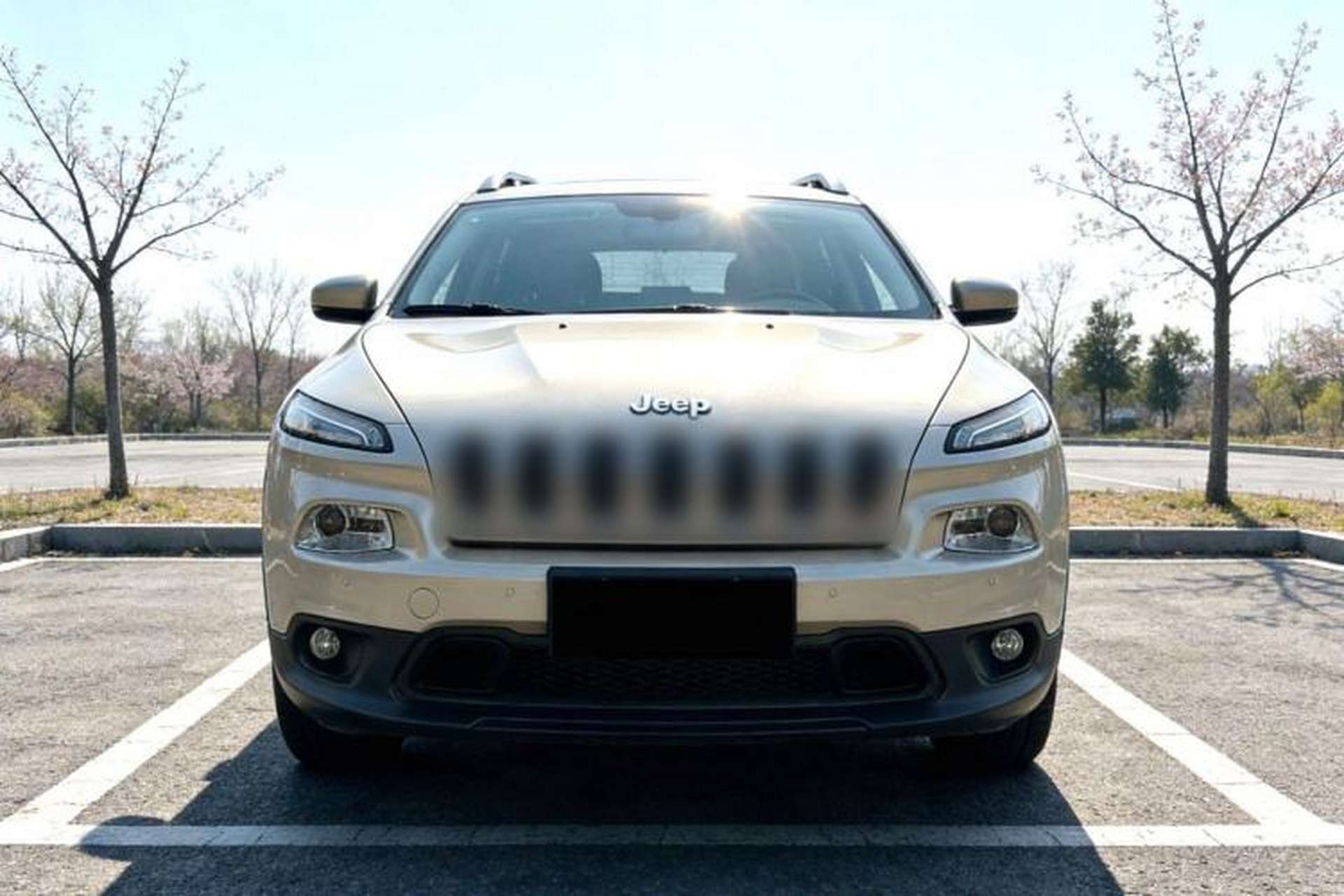 Used Jeep Cherokee 2016 2.4L Leading Edition Exterior 1