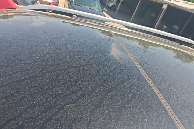 Used Jeep Cherokee 2017 2.0L Superior Edition Roof