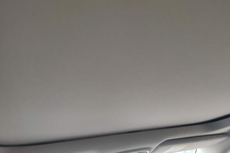 Used Jeep Cherokee 2017 2.4L Leading Edition Headliner