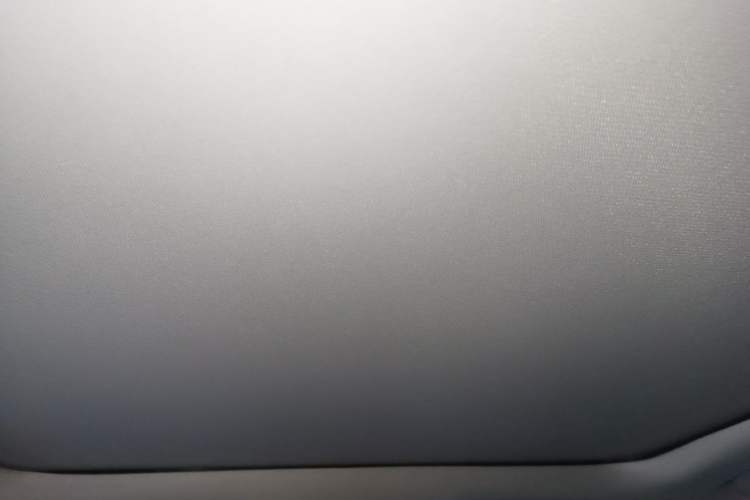 Used Jeep Cherokee 2017 2.4L Professional Edition Headliner