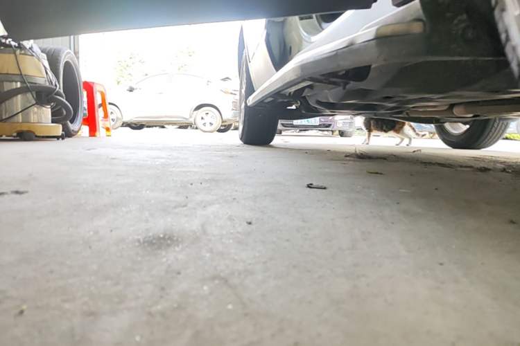 Used Jeep Cherokee 2017 2.4L Leading Smart Edition Right Side Sill
