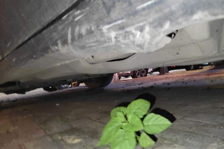 Used Jeep Cherokee 2020 2.0L Two-Wheel Drive Classic Sports Edition Chassis Rear Left