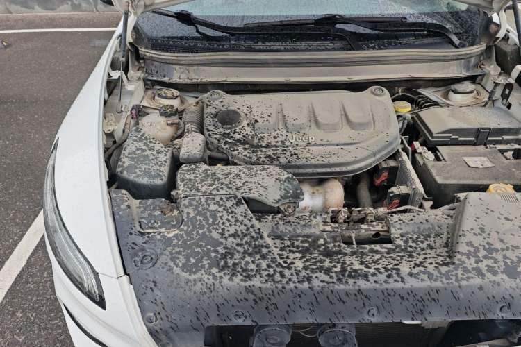 Used Jeep Cherokee 2020 2.0L Two-Wheel Drive Classic Sports Edition Engine Bay Right