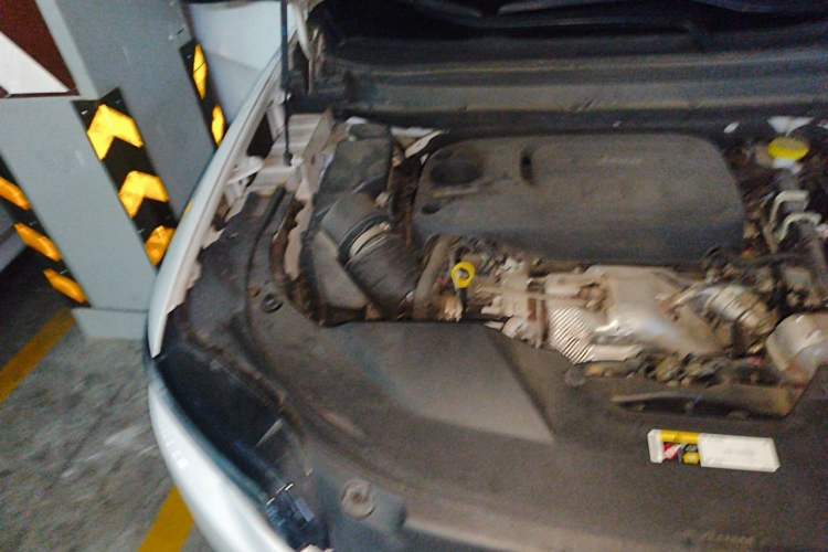 Used Jeep Cherokee 2020 2.0T Two-Wheel Drive Leading Edition Engine Bay Right