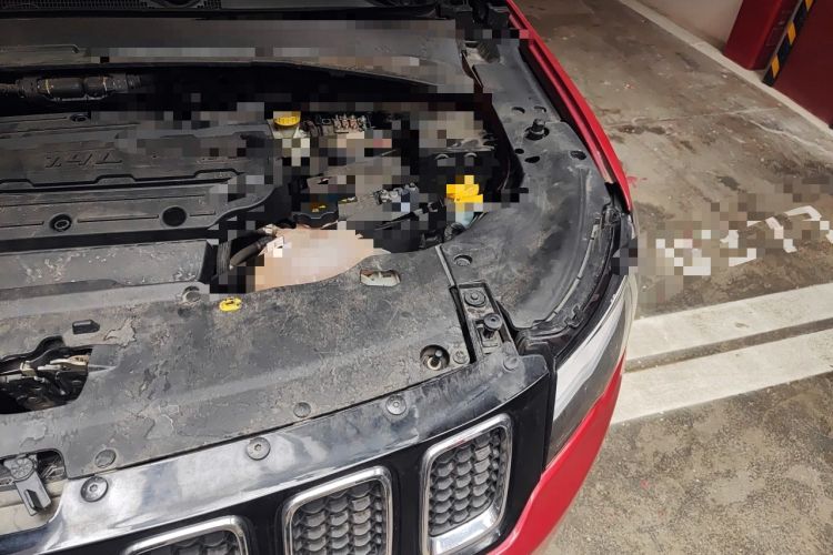 Used Jeep Compass 2017 200T Automatic Family Edition Engine Bay Left