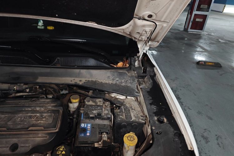 Used Jeep Compass 2017 200T Automatic Family Edition Engine Bay Left
