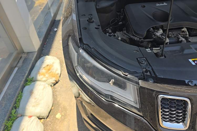 Used Jeep Compass 2019 220T Automatic Family Enjoyment Four-Wheel Drive Edition Right Front Headlight