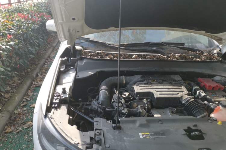 Used Jeep Compass 2019 220T Automatic Enjoyment Version Engine Bay Right