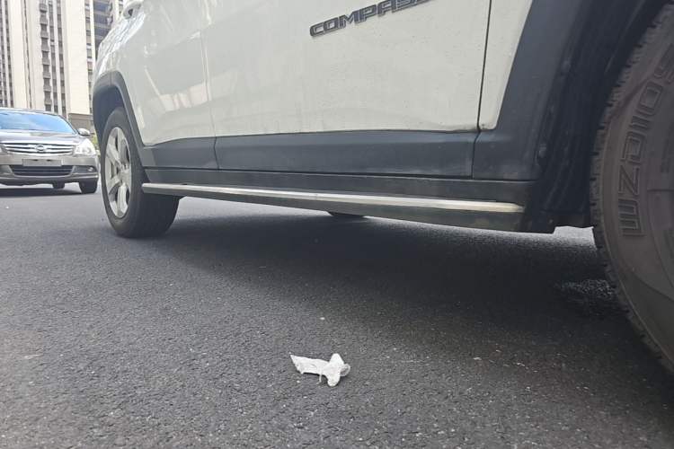 Used Jeep Compass 2019 200T Automatic Family Edition - Connected Large Screen Version Right Side Sill