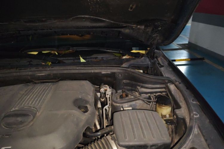 Used Jeep Grand Cherokee 2015 3.6L Elite Navigation Edition Engine Bay Left