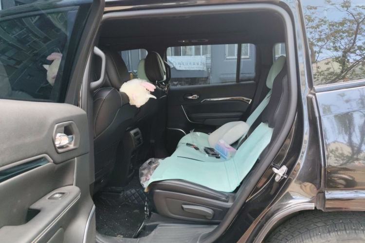 Used Jeep Grand Commander 2021 2.0T Four-Wheel Drive 80th Anniversary Edition Left Rear Seat