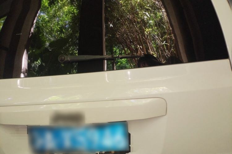 Used Jeep Patriot 2011 2.4 Sport Edition Rear