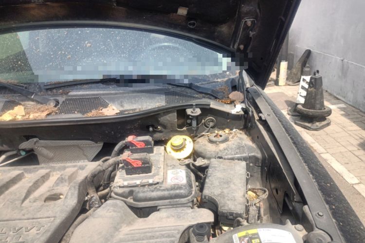 Used Jeep Patriot 2014 2.4L Luxury Navigation Edition Engine Bay Left