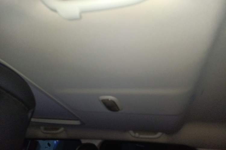 Used Jeep Patriot 2014 2.4L Sport Edition Headliner