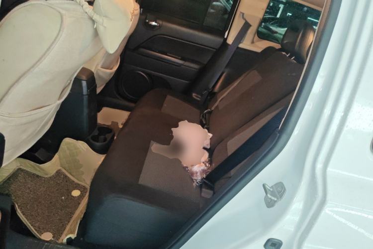Used Jeep Patriot 2014 2.4L Sport Edition Left Rear Seat