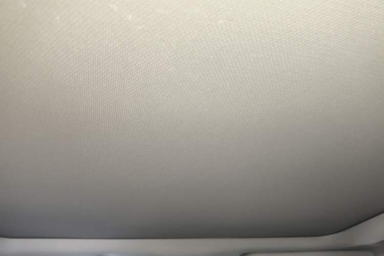 Used Jeep Renegade 2019 220T Automatic Elite Edition Headliner