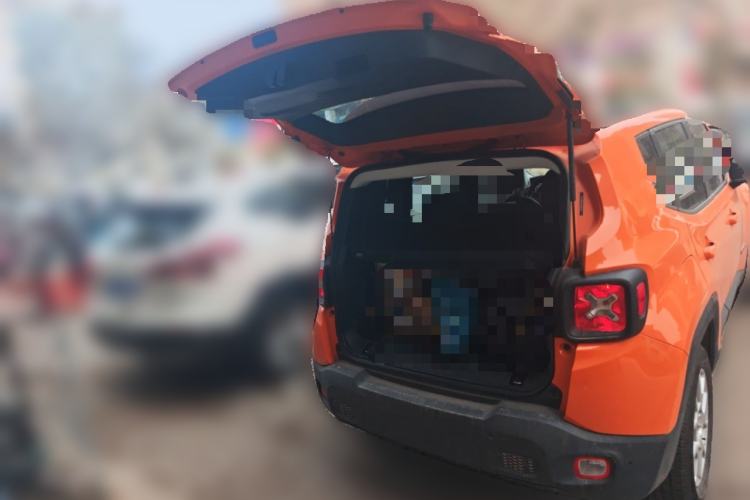 Used Jeep Renegade 2019 220T Automatic Leading Edition Trunk